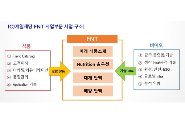 CJ제일제당_FNT사업부문 사업 구조, 식품영역의 5가지 항목 1.trend catching, 2.고객이해, 3.마케팅/커뮤니케이션, 4.품질관리 5.application 기술이 B2C DNA로, 바이오영역의 5가지 항목 1.균주플랫폼/기술, 2.생산 Infra/공정 기술, 3.환경,안전,ESG 4.글로벌 Infra, 5.분석역량이 기술/Infra 로 FNT에 통합되었다. FNT 사업은 미래식품소재, Nutrition 솔루션, 대체 단백, 배양 단백 사업으로 신설하게 되었다.