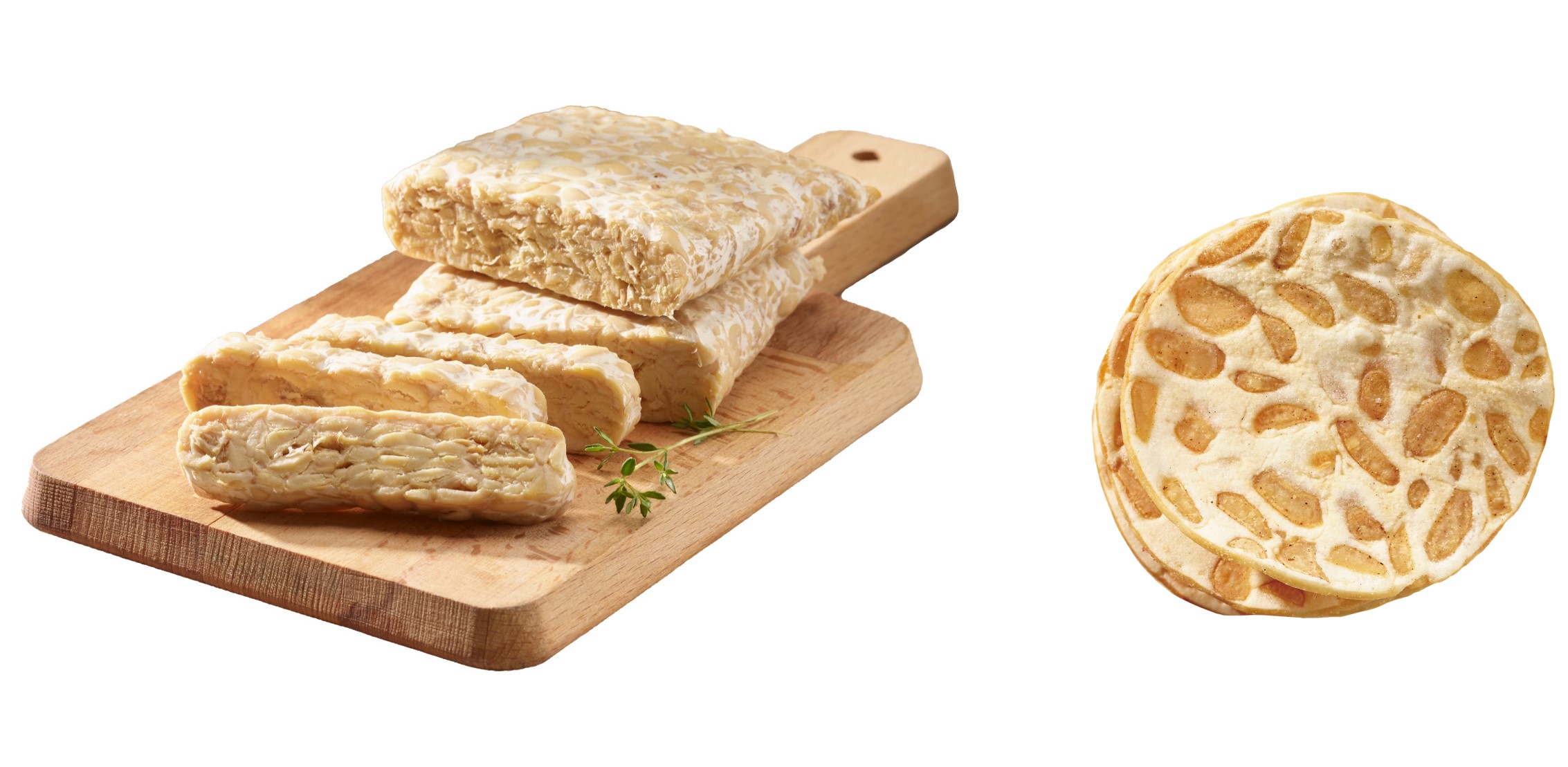 a traditional Indonesian food Tempeh(left) and Tempeh chips(right)