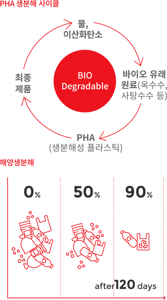PHA 생분해 사이클 [생분해 : 물,이산화탄소 > 바이오 유리 원료 (옥수수,사탕수수 등) > PHA(생분해성 플라스틱) > 최종제품 > 물, 이산화탄소] , 해양생분해 120일 후 90% 분해