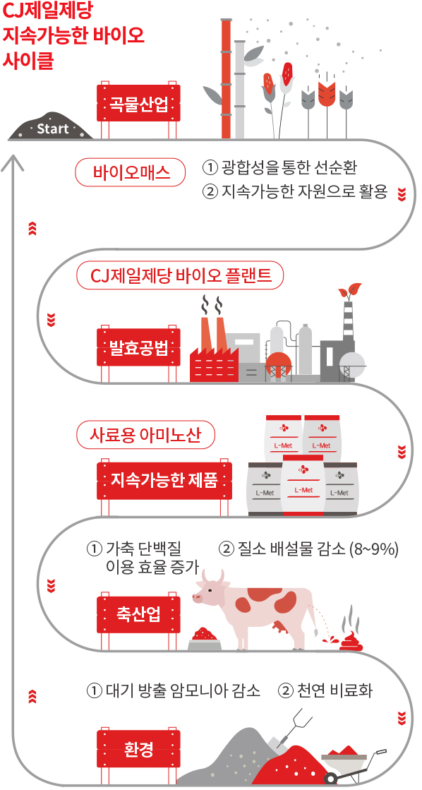 CH제일 제당 지속가능한 바이오 사이크 [Start > 곡물산업 바이오메스 '1. 광합성을 통한 선순환, 2. 지속가능한 자원으로 활용'] > CJ제일제당 바이오 플랜트 (발효공법) > 사료용 아미노산 (지속가능한 제품) > 축산업 '1. 가축 단백질 효율 증가, 2. 질소 배설물 감소(9~9%)' > 환경 '1. 대기 방출 암모니아 감소 , 2. 천연 비료화' > 반복