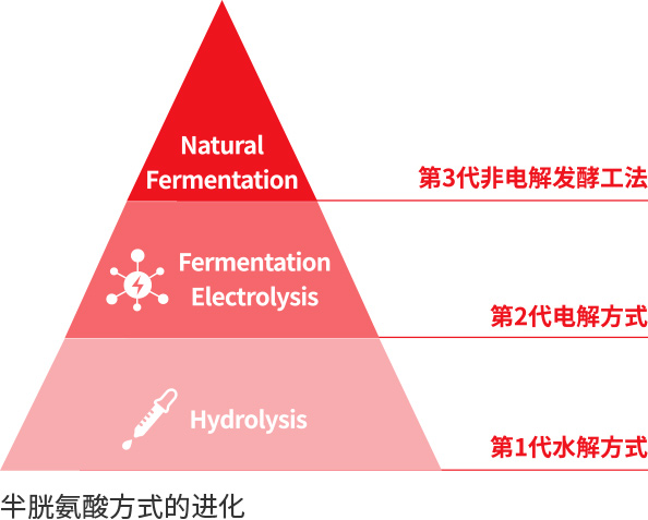 胱氨酸方式的进化 > Natural Fermentation - 第3代非电解发酵工法. Fermentation Electrolysis - 第2代电解方式. Hydrolysis - 第1代水解方式