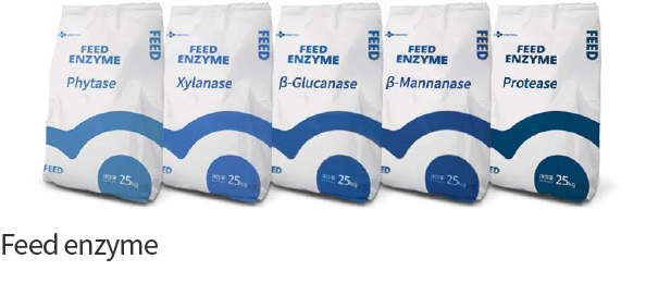 Feed enzyme