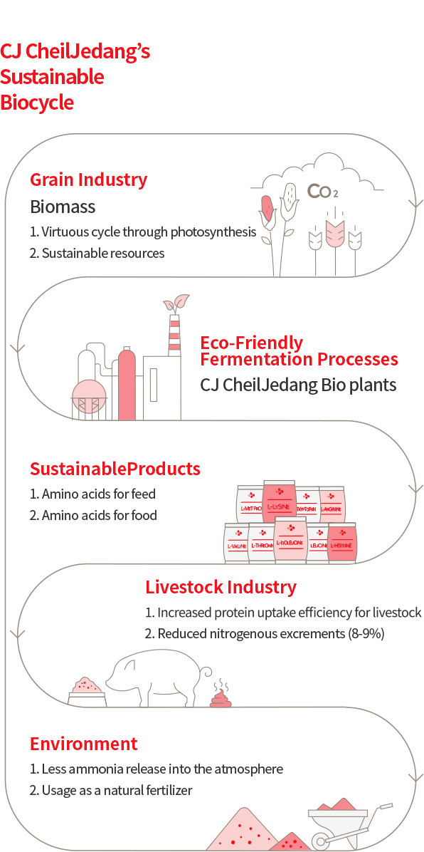 CJ CHEILJEDANG’S SUSTAINABLE BIOCYCLE : Grain Industry Biomass 1. Virtuous cycle through photosynthesis 2. Sustainable resources > Eco-Friendly Fermentation Processes CJ CheilJedang Bio plants > Sustainable Products 1. Amino acids for feed 2. Amino acids for food > Livestock Industry 1. Increased protein uptake efficiency for livestock 2. Reduced nitrogenous excrements (8-9%) > Environment 1. Less ammonia release into the atmosphere 2. Usage as a natural fertilizer