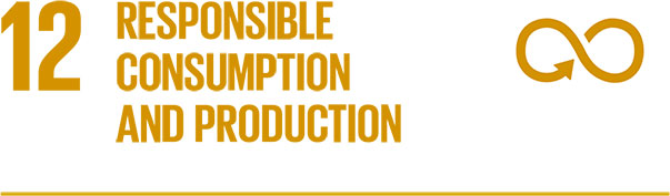 12. RESPONSIBLE CONSUMPTION AND PRODUCTION