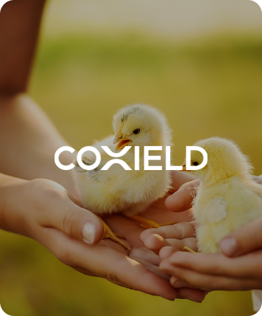 Coxield